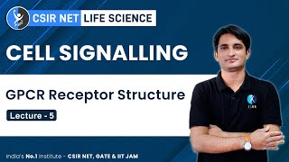 GPCR Receptor Structure  Cell signalling L  5  CSIR GATE DBT BARC ICMR  IFAS [upl. by Aicelav]