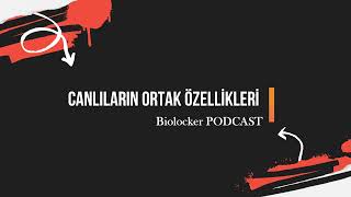 Canlıların ortak özellikleri PODCAST Biyoloji podcast [upl. by Atiekram]