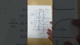 Essay prompt 2 Cardio Physiology [upl. by Ardnaeed12]