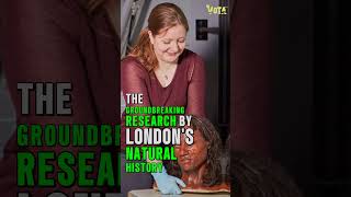 Cheddar Man the FIRST Britain was BLACK [upl. by Loralie]