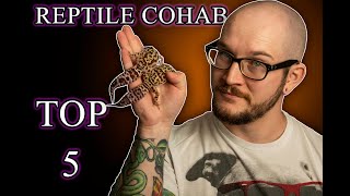 Reptile Cohabitation The Top 5 Reptiles That Can Cohab Successfully And How To Do It [upl. by Niret]