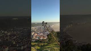 Beautiful Nazaré Portugal 🇵🇹 home of the biggest waves in the world 🌍 ondasgigantes [upl. by Netsrek534]