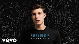 Shawn Mendes  Aftertaste Audio [upl. by Alleb]