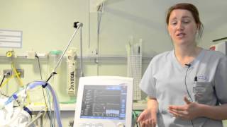 Introduction to ICU Training Video [upl. by Aiek]