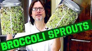 How To Grow Broccoli Sprouts At Home  SUPER EASY [upl. by Nahrut]