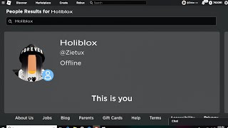 How To Appear Offline On Roblox 2023 [upl. by Olwen]