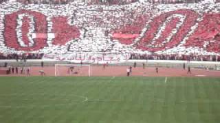 tifo winners  double virage finale coupe darabe wydad taraji [upl. by Delphine]