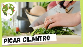 Cómo PICAR CILANTRO ➤ para tacos  David Chef [upl. by Salmon]