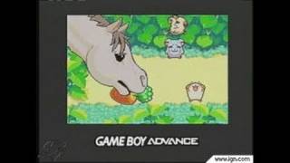 Hamtaro Rainbow Rescue Game Boy Gameplay [upl. by Voltmer]