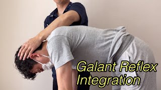 Integration for Galant reflex [upl. by Yzus]