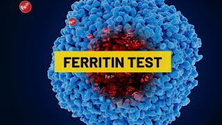 Ferritin Test  My Lab Solution [upl. by Nakhsa]