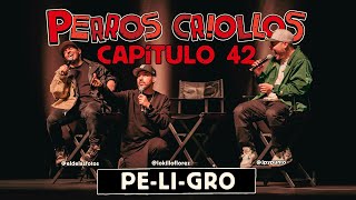 PERROS CRIOLLOS  PELIGRO CAP 42 [upl. by Goodwin]