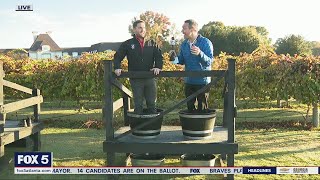 Grape stomping  FOX 5 News [upl. by Moshe214]