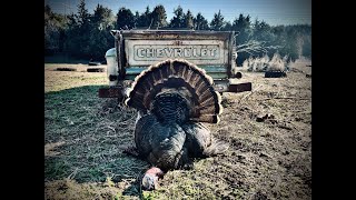 Spot and Stalk Turkey Hunting  Todds Nebraska Rio  Turkey Season 2024 [upl. by Llehcsreh135]