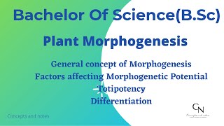 Morphogenesis  Totipotency  Differentiation  BSc Students  Concepts and Notes [upl. by Lizned]