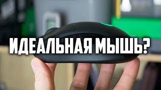 Идеальная игровая мышь  Logitech Lightspeed G703 [upl. by Limemann]