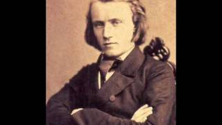 Johannes Brahms  Hungarian Dance No 5 [upl. by Adnara]