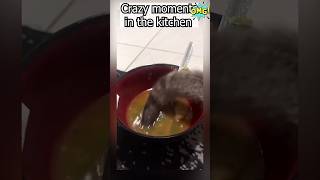 Crazy Kitcheners 😱 shortvideo workers work jobs crazy kitchen funny viralvideo reactions [upl. by Areek398]