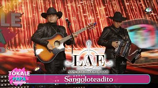 Los Auténticos de la E  Sangoloteadito Video Oficial [upl. by Sseb17]