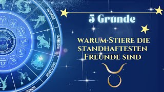 5 Gründe warum Stiere die standhaftesten Freunde sind [upl. by Close]