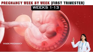 PREGNANCY WEEK BY WEEK FIRST TRIMESTER  WEEKS 112 [upl. by Haras]