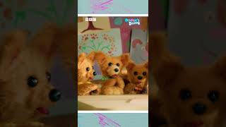 Guess the CBeebies Song with Rhys  Wildlife Jamboree  CBeebies Prom 2024 Shorts [upl. by Ruff]