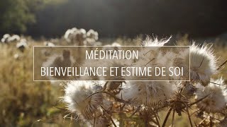 BIENVEILLANCE ET ESTIME DE SOI  CULTIVEZ LA PLEINE CONSCIENCE  MÉDITATION GUIDÉE EN FRANÇAIS [upl. by Ennovehc]