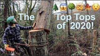 2020 Epic Tree Topping Compilation [upl. by Oregolac708]