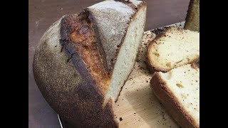 Pane con Lievito Madre Disidratato Tipo Altamura [upl. by Atsira]