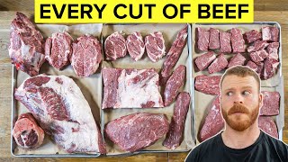 Beef 101 The Beginners Guide to Every Cut of Beef [upl. by Akiehs]