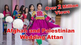 Afghan and Palestinian Wedding Attan Performance [upl. by Brady]