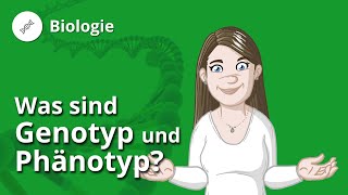 Genotyp und Phänotyp Definition Beispiele und Allele – Biologie  Duden Learnattack [upl. by Sivartal]