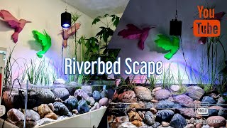 Hillstream Riverbed Aquarium [upl. by Melac]