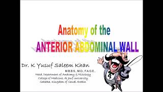 Anatomy  ANTERIOR ABDOMINAL WALL  Part 1  Dr Yusuf [upl. by Odraboel]