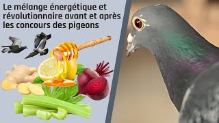 Le mélange énergétique et révolutionnaire avant et après les concours des pigeons [upl. by Nimajeb399]