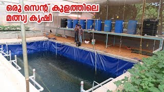 Aquaponics with a strong RAS system ഒരു സെൻറ് കുളത്തിലെ മത്സ്യ കൃഷി [upl. by Ecirted]