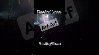 knockedloose7921 liveArf Arf👊 knockedloose hardcore metalcore shorts [upl. by Marten]