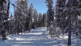 Cross country skiing  Engadin St Moritz Pontresina Samedan [upl. by Linzer]