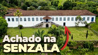 Esse ANTES e DEPOIS vai te impressionar  FAZENDA CONFIANÇA [upl. by Mit285]