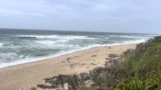 Nantucket morning August 2024 [upl. by Brom27]