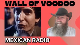 Wall Of Voodoo  Mexican Radio 1982 reaction commentary  New Wave [upl. by Torrell650]