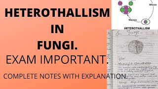 HETEROTHALLISM IN FUNGIFull explanation with notesbscbotany [upl. by Jecoa895]