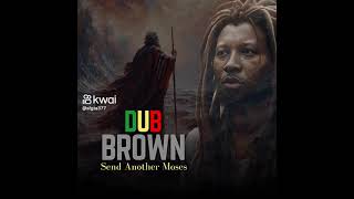 REGGAE LIMPO DUB BRAWN [upl. by Oriana]