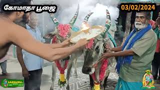 SARGURU TV 03022024 சனிக்கிழமை கோமாதா பூஜை [upl. by Fernande611]