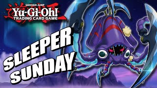 Fusion SUPREMACY YuGiOh Sleeper Sunday  Fluffal  InDepth Deck Profile  Replays [upl. by Allanson]