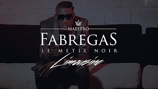 Fabregas Le Metis Noir présente Ibrator  Limousine [upl. by Otecina128]