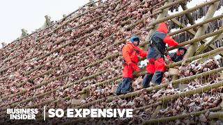 So Expensive Food Season 3 Marathon  So Expensive  Business Insider [upl. by Trilbie]