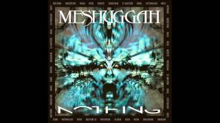 Meshuggah  Rational Gaze ﴾Ƨlow﴿ [upl. by Tilney885]