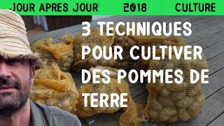 3 techniques pour cultiver des pommes de terre [upl. by Oluap]