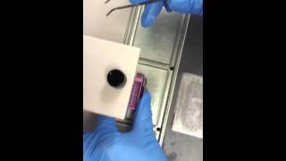 Histology  embedding [upl. by Geerts448]